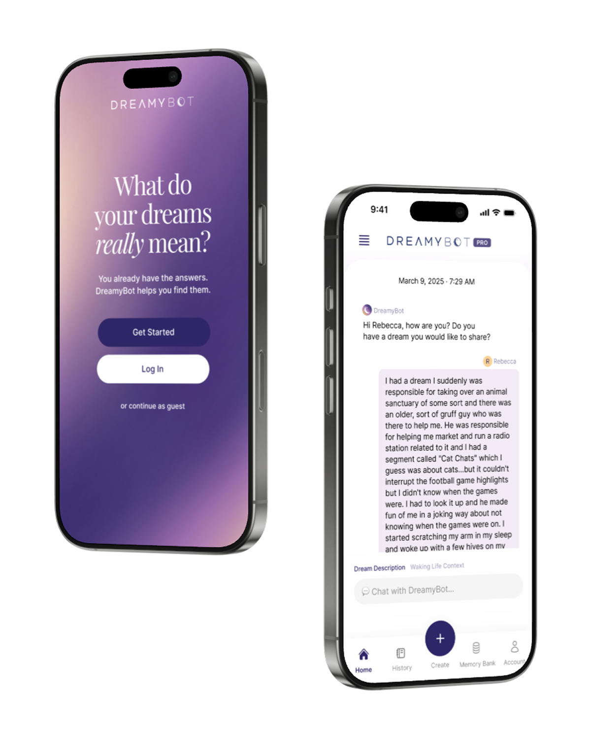 DreamyBot AI consumer app chat interface with streaming responses powered by Anthropic Claude.
